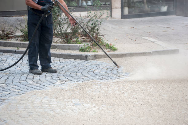 Best Roof Washing  in Kingston, NY
